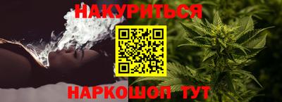 прущие грибы Кандалакша