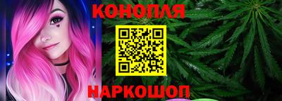 прущие грибы Кандалакша