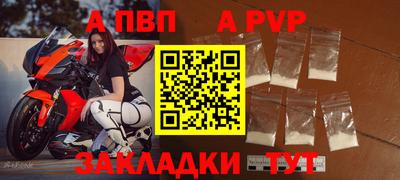 прущие грибы Кандалакша